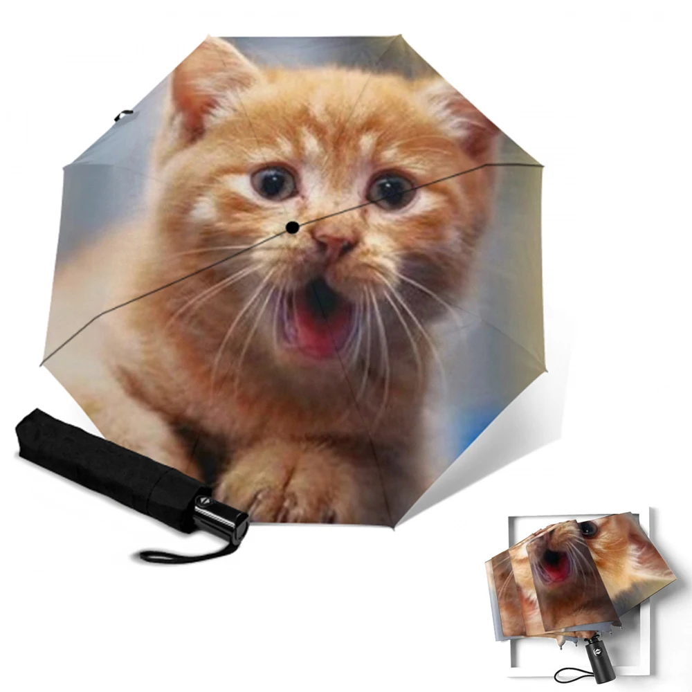 Автоматический зонт с принтом милого кота Быстросохнущий складной женский от