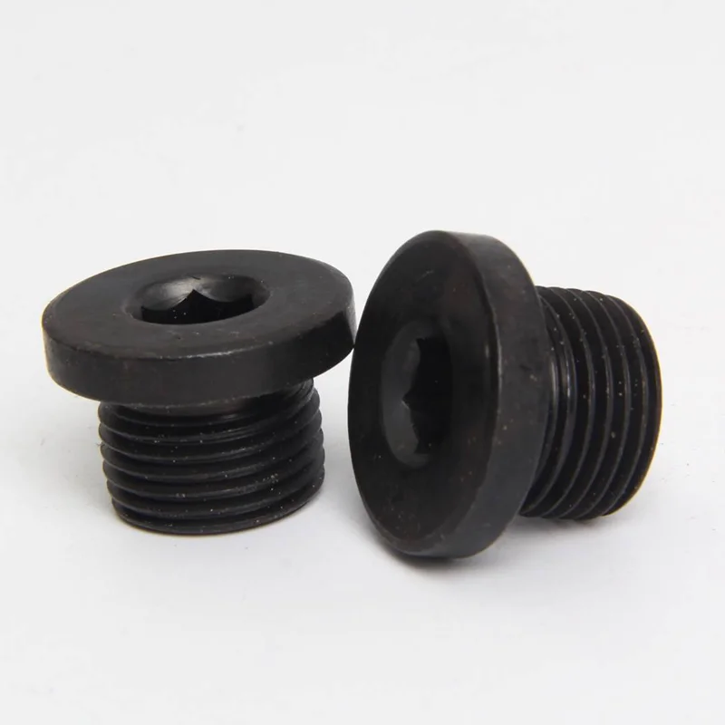 

Carbon Steel Pipe Fitting Countersunk Internal Hex Flange Plug Fitting BSPP Thread