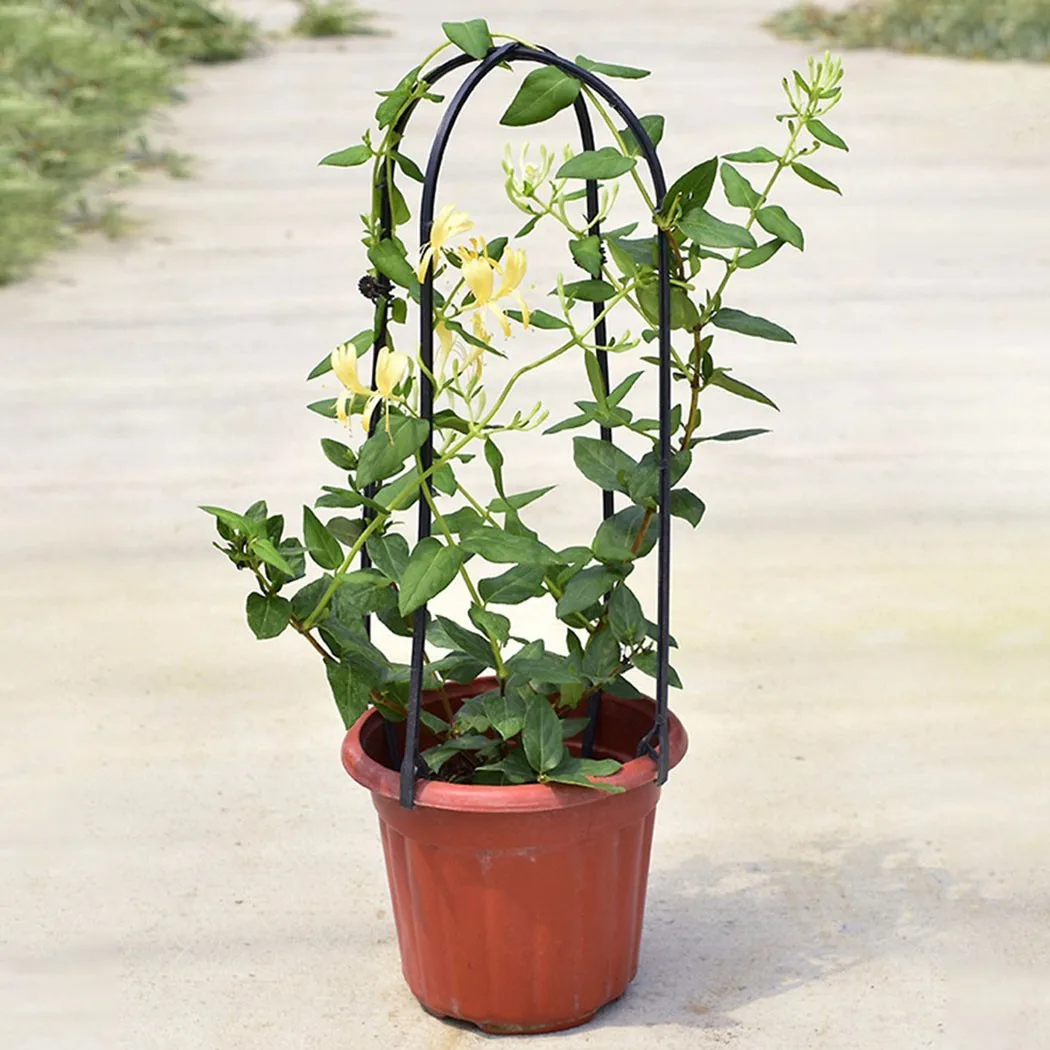 

Plant Climbing Support 6PCS Plastic Tomatoes Durable Flower Multifunction