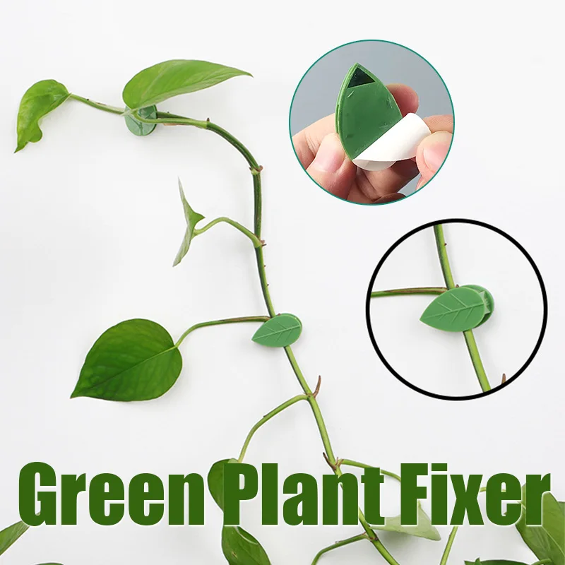

✅50Pcs Invisible Bracket Self-Adhesive Fixed Buckle Leaf Shape Clip Plant Climbing Wall Fixture Rattan Vine Traction Holder