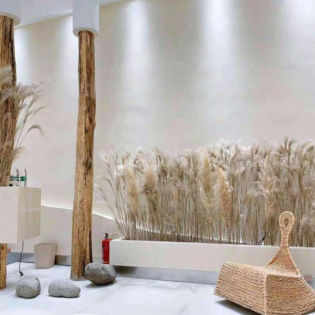 

50PCS Real Dried Small Pampas Grass Wedding Flower Bunch Natural Plants Home Decor Dried Flowers Phragmites Flower Ornamental