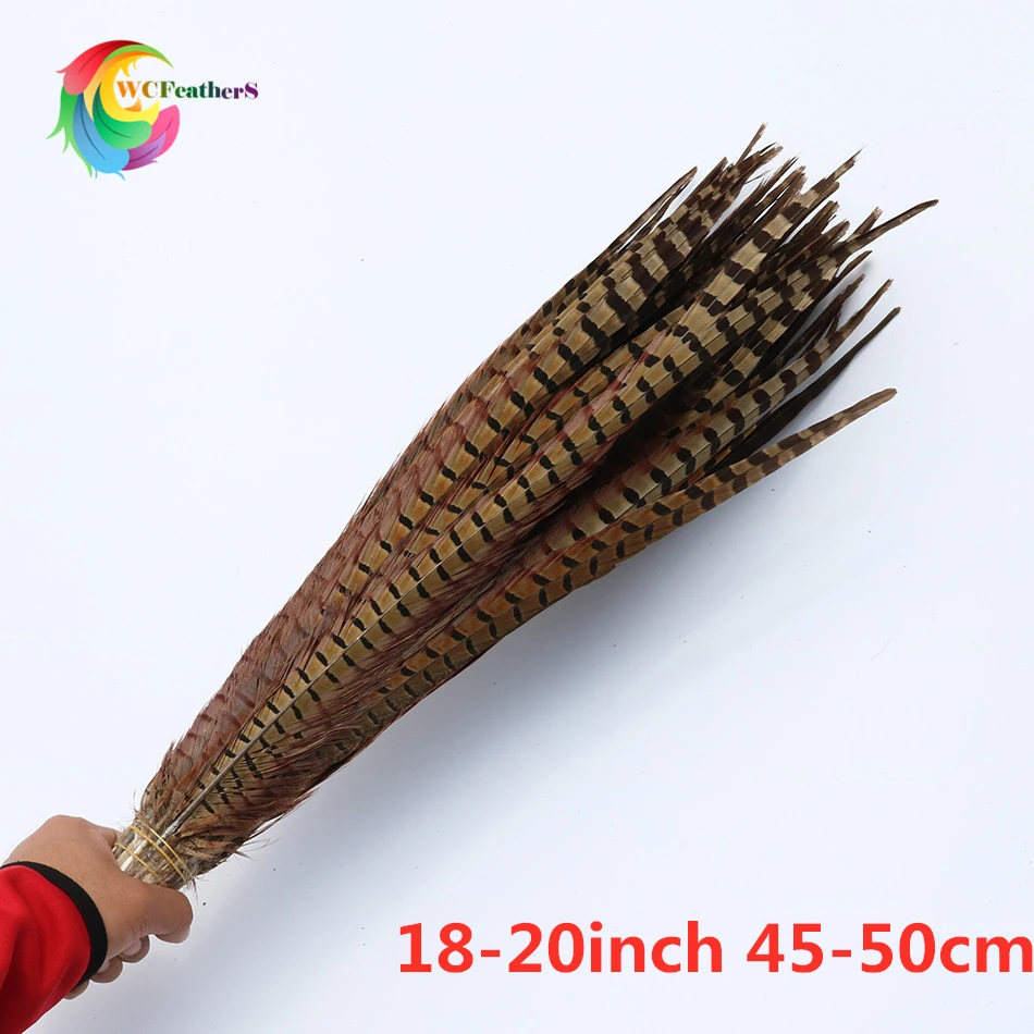 10 шт натуральные Ringneck Перья из хвоста фазана 10-26 дюймов/25-65 см перо для вечерние карнавальные украшение для головного убора шлейф - Цвет: 45-50cm