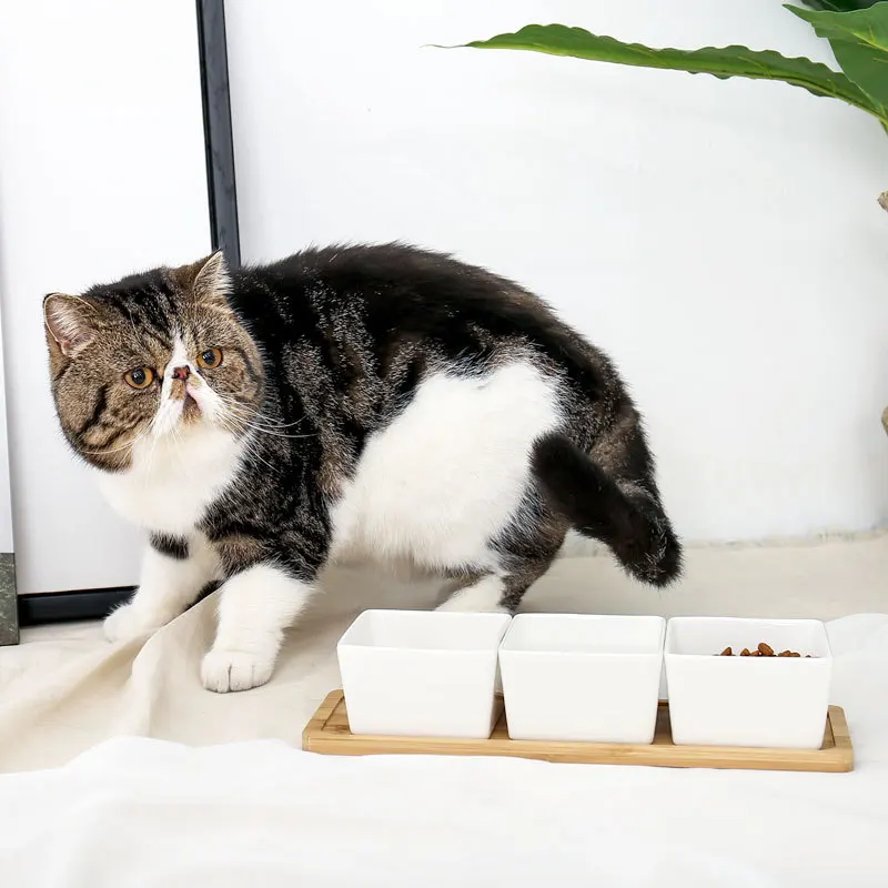 

New Ceramic Cat Bowl Bamboo Stand Cat Food Bowl Water Dog Food Bowl Pet Supplies Waterer Feeder