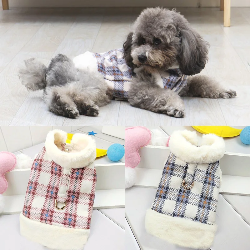 Do Shih Tzus Need Coats In The Winter