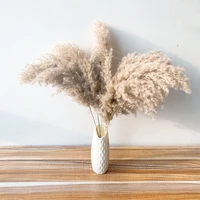1020pcs pampas grass fluffy dried natural reed flowers bouquets contains colored plastic vase christmas home wedding decor