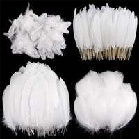 100pcslot mixed batch white gooseturkey duck feathers for crafts diy headdress decor jewelry wedding plume exotic accessories