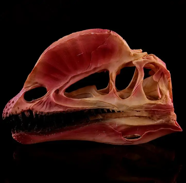 Смола Тираннозавр &quotскелетная&quot керамическая фигурка Скульптура динозавр