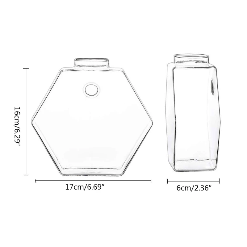 

Hexagon Shape Wall Hanging Plant Terrarium Geometric Glass Planter Transparent Vase DIY Bottle Home Office Decoration