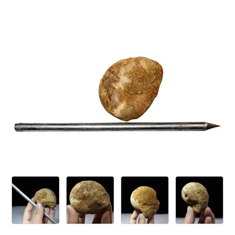 

2pcs Archaeological Cleaning Exercise Kit Trilobite Fossil Teaching Specimen