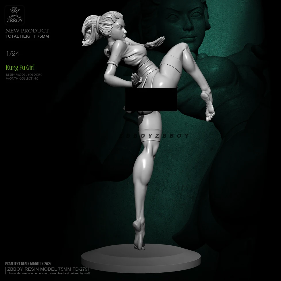 

Наборы моделей из смолы 1/24, 75 мм, бесцветные, самосборные, TD-2791B