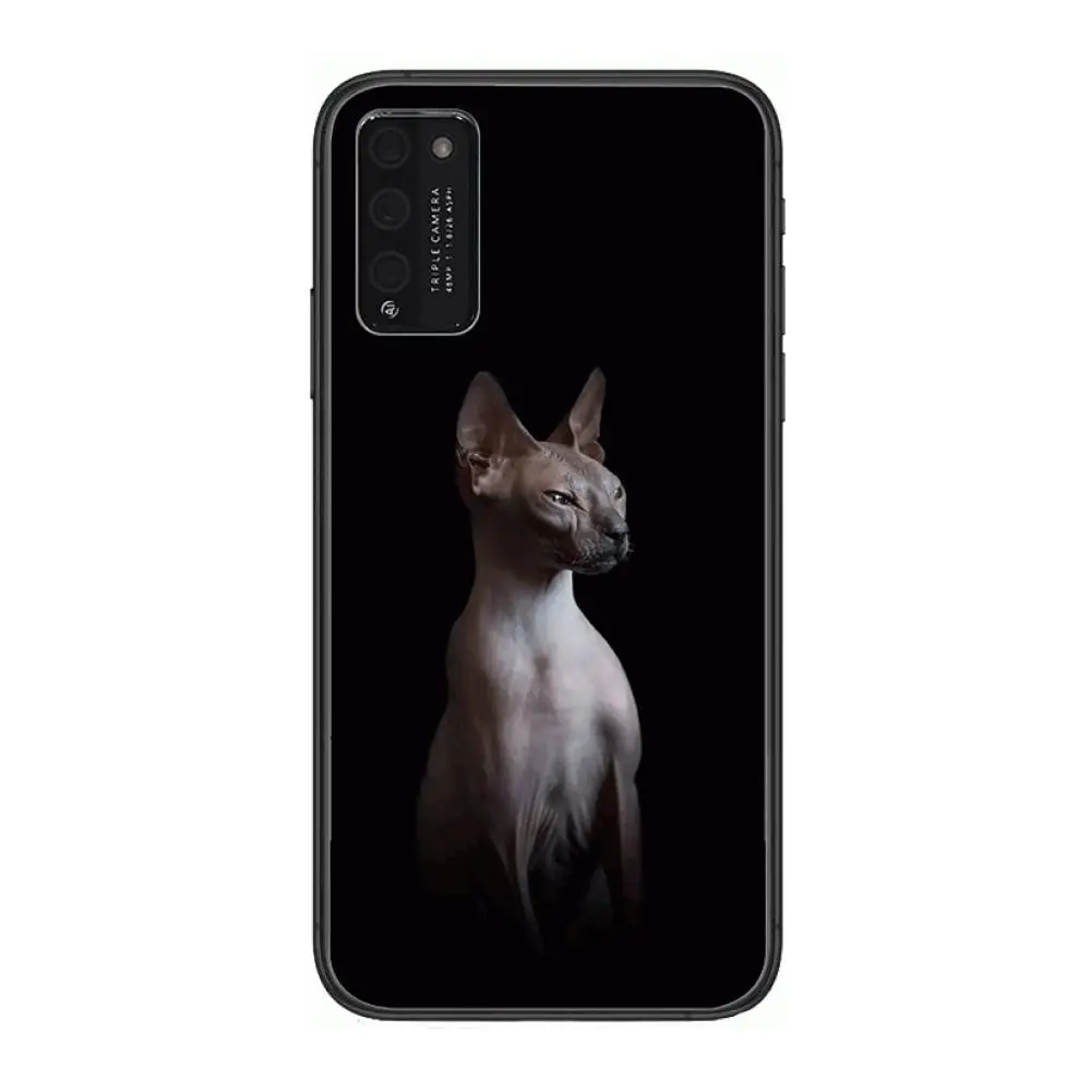 

Sphinx cat Sexy Case Clear Phone Case For Huawei Honor 10 20 30 9 X Pro Lite V 5G RU Black Etui Coque Hoesjes Comic Fashion