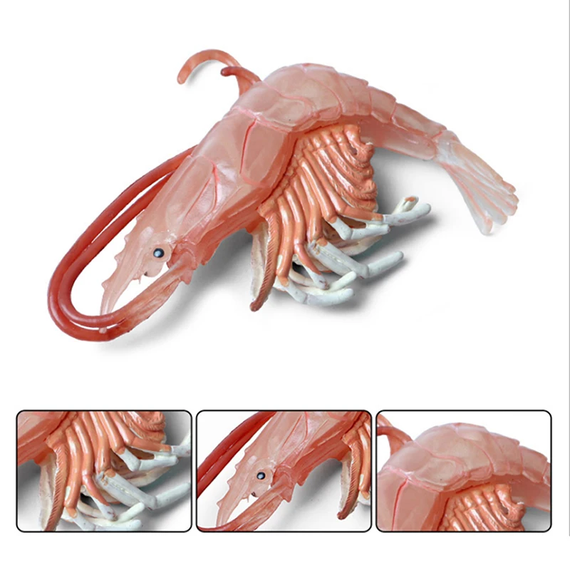 Детские игрушки для знакомства с биологией Лобстер Морская жизнь животная