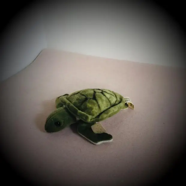 2019 милая мягкая имитация Lepidochelys olivacea Черепаха Морская черепаха плюшевая игрушка