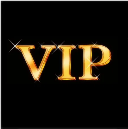 

VIP Link for hero 1501 fountain pen
