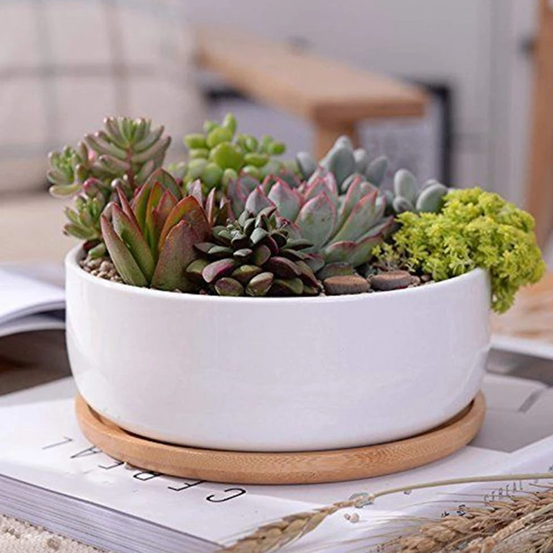 6.1 Inch Round Bamboo Plants Plant Saucer Pot Tray For Indoor And Outdoor | Дом и сад