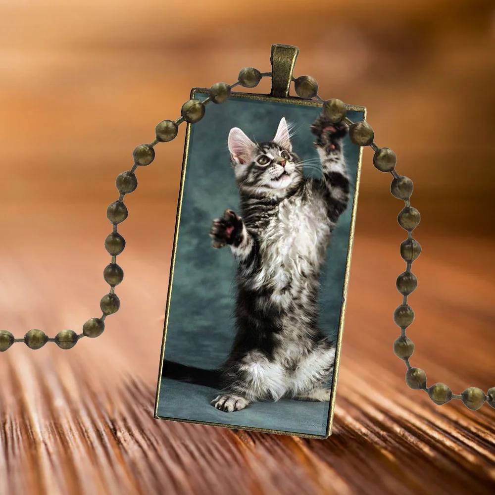 Pet Мейн кота серебристого цвета для женщин Ретро стиль дизайн Модные Винтажные