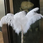10 шт., белые страусиные перья, свадебные аксессуары, 24-26 дюймов
