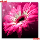 Алмазная 5D мозаика стразы, полноразмерная картина сделай сам с квадратными и круглыми стразами, вышивка крестиком, мозаика-пазл для украшения