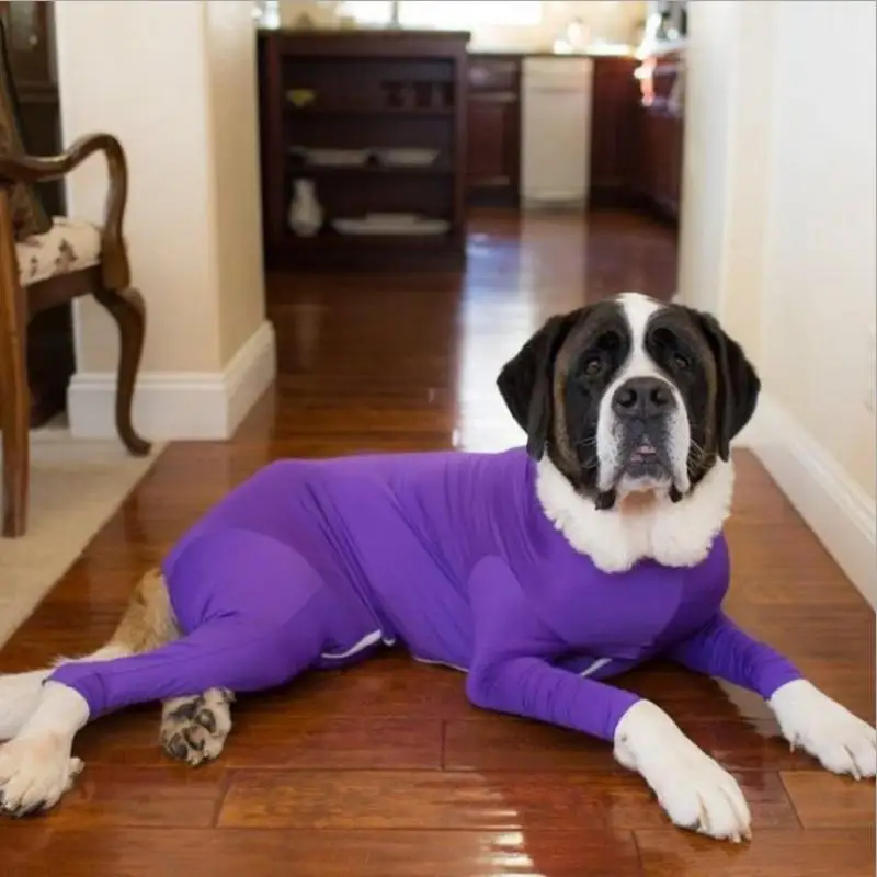 

Pet Clothes Autumn and Winter Dog Underwear Harry Dog Clothes Husky Four-Legged Clothes Small and Medium-Sized Dog Clothes