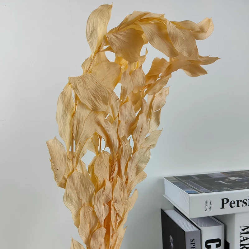 

Dried Orange Leaf Natural Preserved Orange Leaf Floral Decor Dracaena Flowers branch Wedding Party Home Decoration Eternell