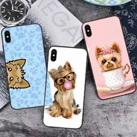yorkshire terrier dog phone case for iphone 13 12 11 mini pro xs max 8 7 6 6s plus x 5s se 2020 xr