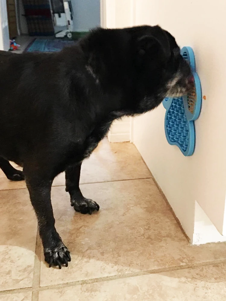 

6 Pcs Dog Lick Mat Slow Feeder Bathing Distraction Pads with Suction Cup for Treats,Anxiety Relief,Grooming,Pet Training X2