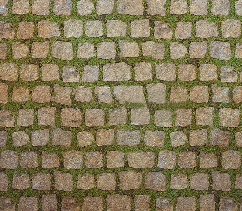 

Rock Stone Green Grass backdrops High quality Computer print wall backgrounds