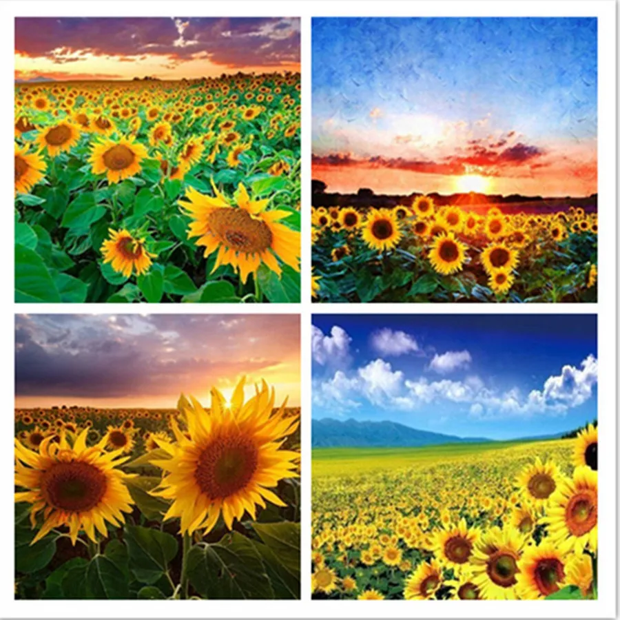 5D DIY алмазное Рисование Подсолнечник Алмазная Вышивка Цветы Подсолнух полное