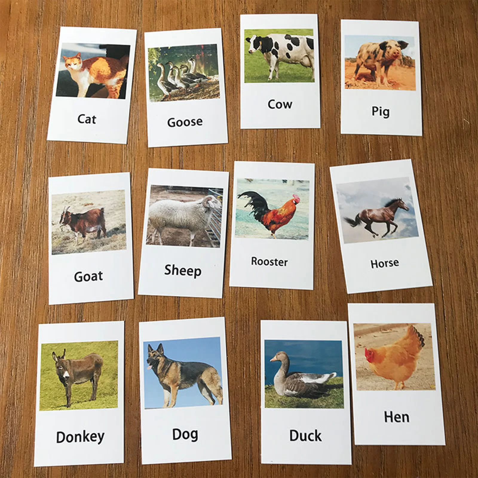

24Pcs Toy Poultry Animal Model Naming Card Matching Material for Early Education