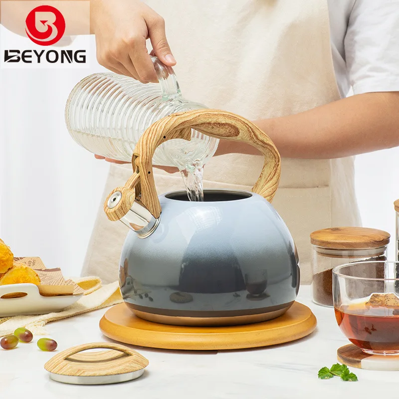 

European Style Gradient Whistle Kettle 2.5L Eco Friendly Boiling Water Jug Stove Cookware Fluitketel Kitchen Accessories EB5SH