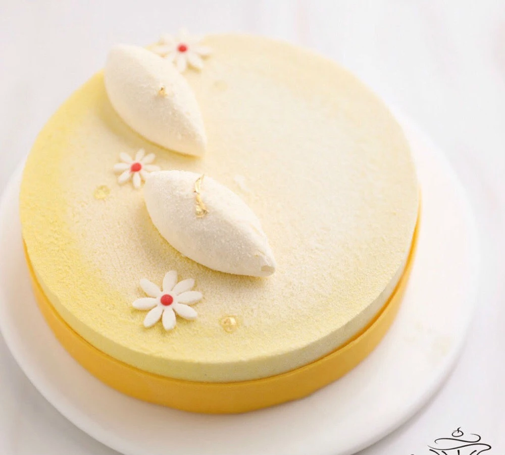 Dessert Moulds Mousse Mould Silicone for Jelly Pudding Chocolate 12 Holes Shell Shape | Дом и сад