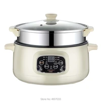 220v 110v multifunctional electric cooker heating pan electric cooking pot machine hotpot noodles eggs soup steamer rice cooker