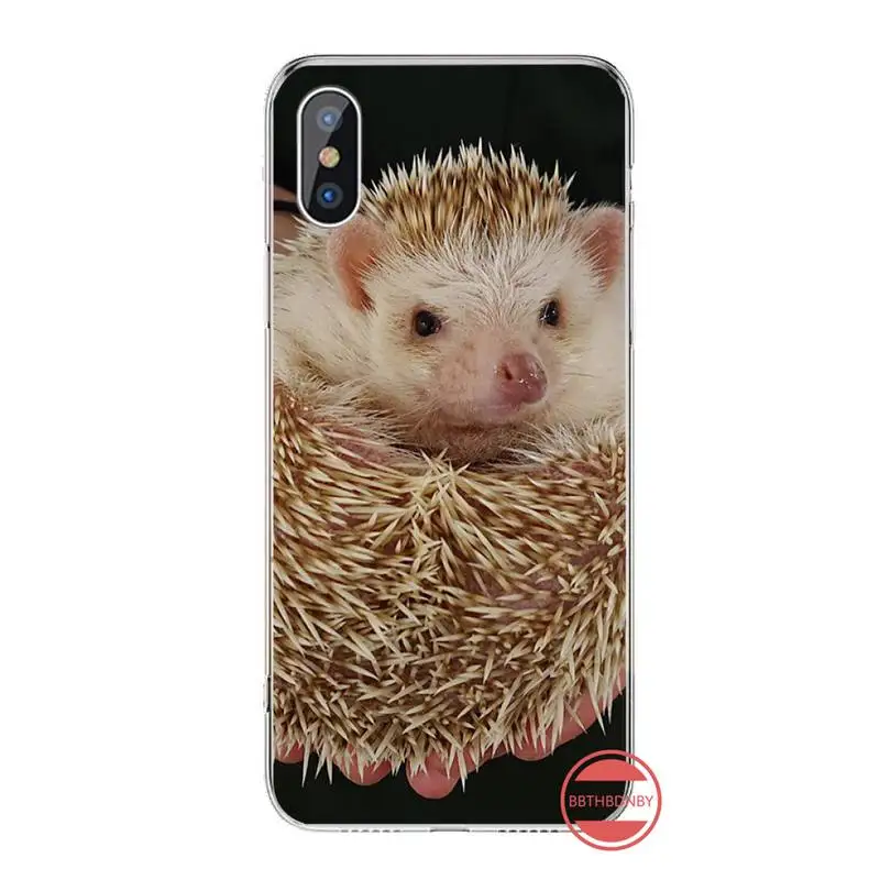 

lovely Hedgehog Phone Cases For iphone 12 5 5s 5c se 6 6s 7 8 plus x xs xr 11 pro max