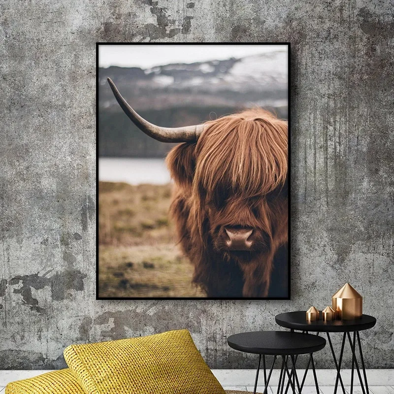 Highland корова дикий картина с рисунком животных крупного рогатого скота Плакаты и