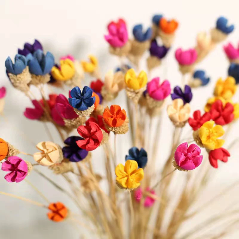 

10pcs Real Mini Happy Fruits Handmake Dry Flower Natural Dried Flowers for Wedding Party Living Room Decorations Table Ornamen