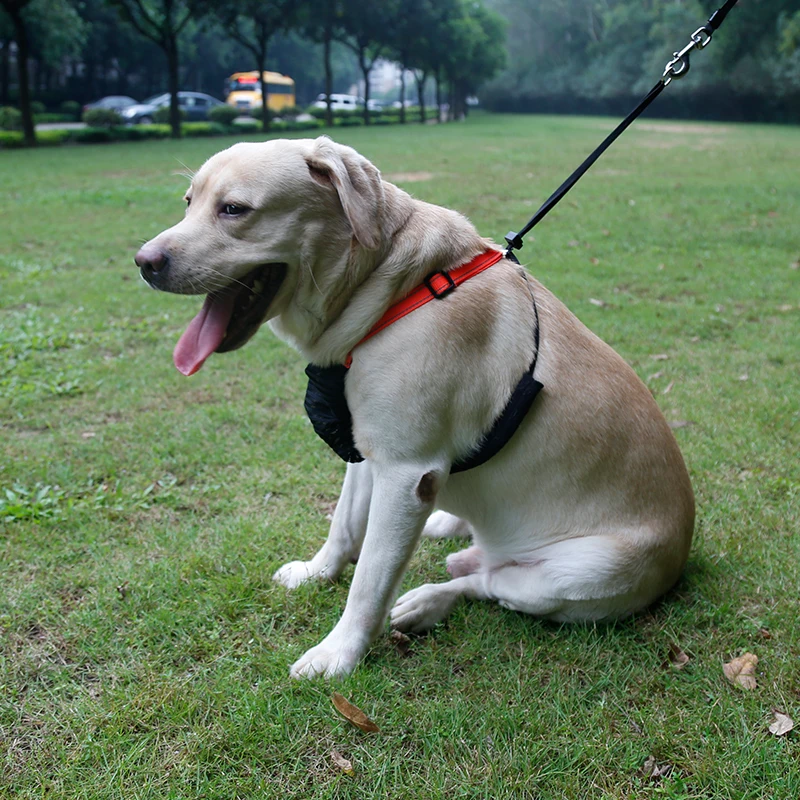 Не вытягивающий поводок для собак не сетчатый домашних животных|Наборы| |