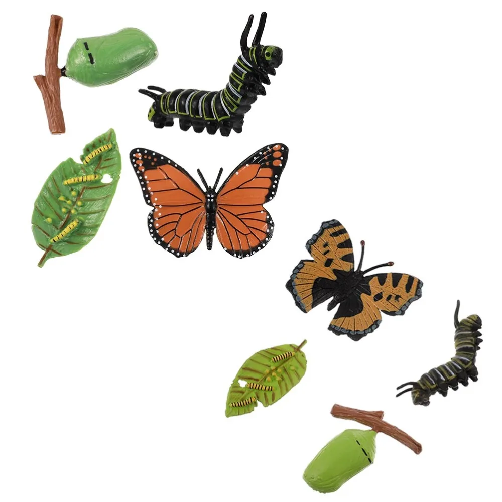 

2 Sets/8pcs Realistic Insect Growth Model Butterflies Display Cognitive