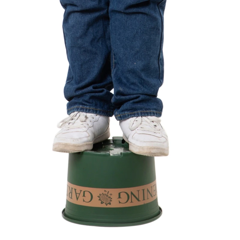 Садовые растения для выращивания крупных корней контролируемые горшки круглая