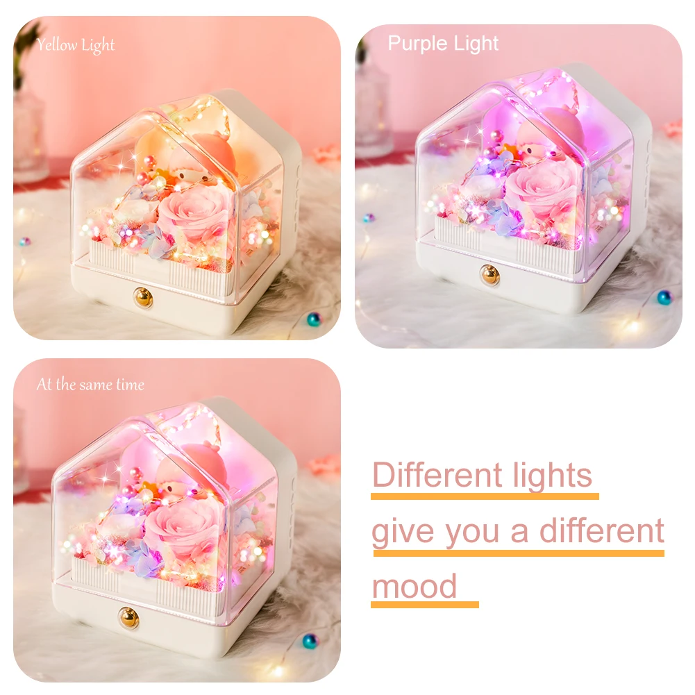 

Romantic Full House Eternal Flower Bluetooth Audio Atmosphere Light LED Night Light Micro Landscape Christmas Creative Gift