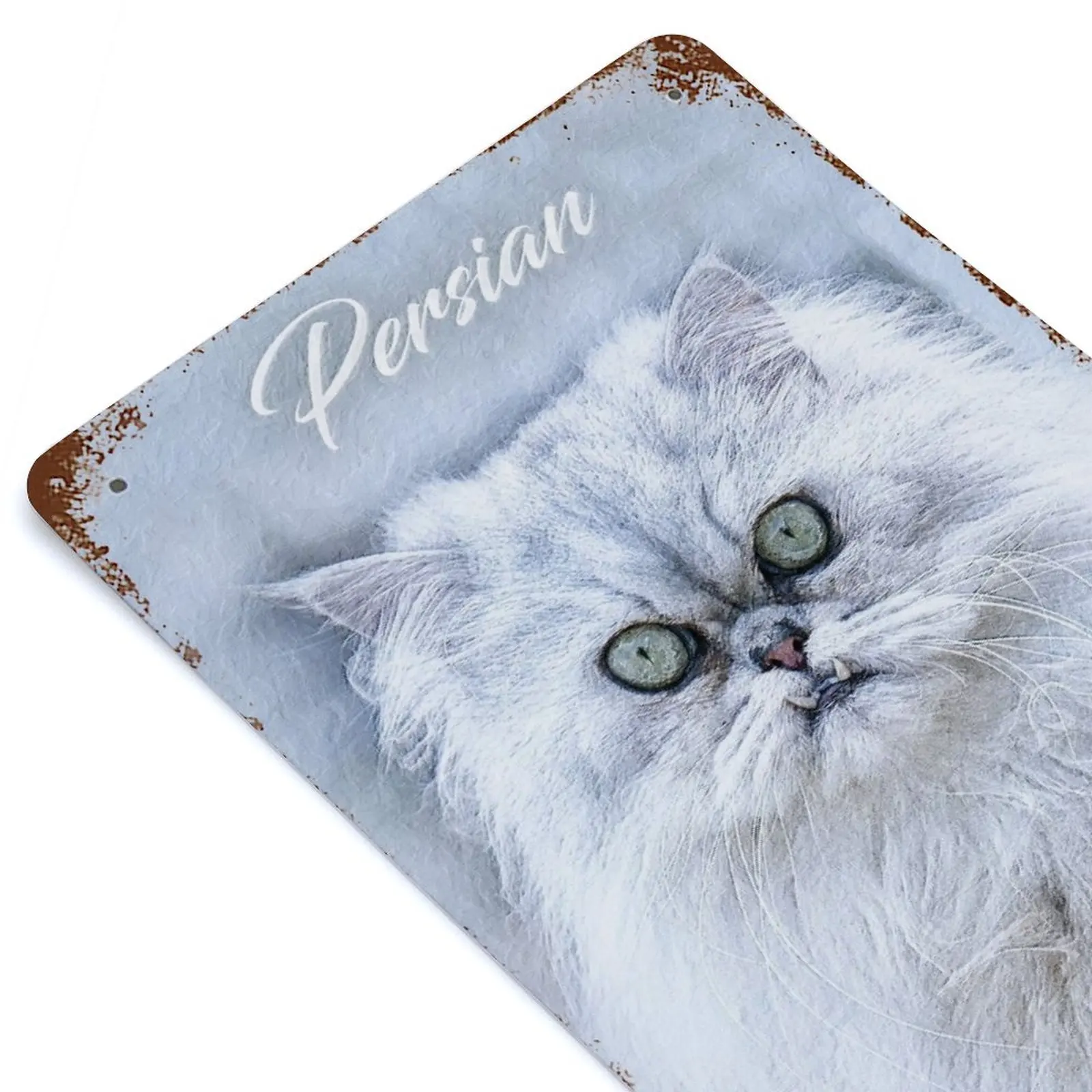 

Persian Cat Printed Retro Metal Poster Home Wall Decoration Tin Sign Plaque