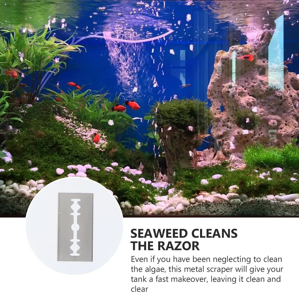 

UEETEK 10pcs Aquarium Algae Cleaning Razor Stainless Steel Corrosion-resistant Remove Algae without Getting Hands Wet Suitable