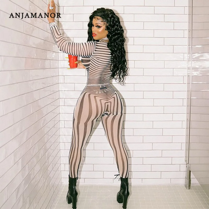 

ANJAMANOR Zebra Striped Sheer Mesh Sexy Two Piece Set Long Sleeve Top and Pants Leggings Clubwear Women Jumpsuit D96-CI21