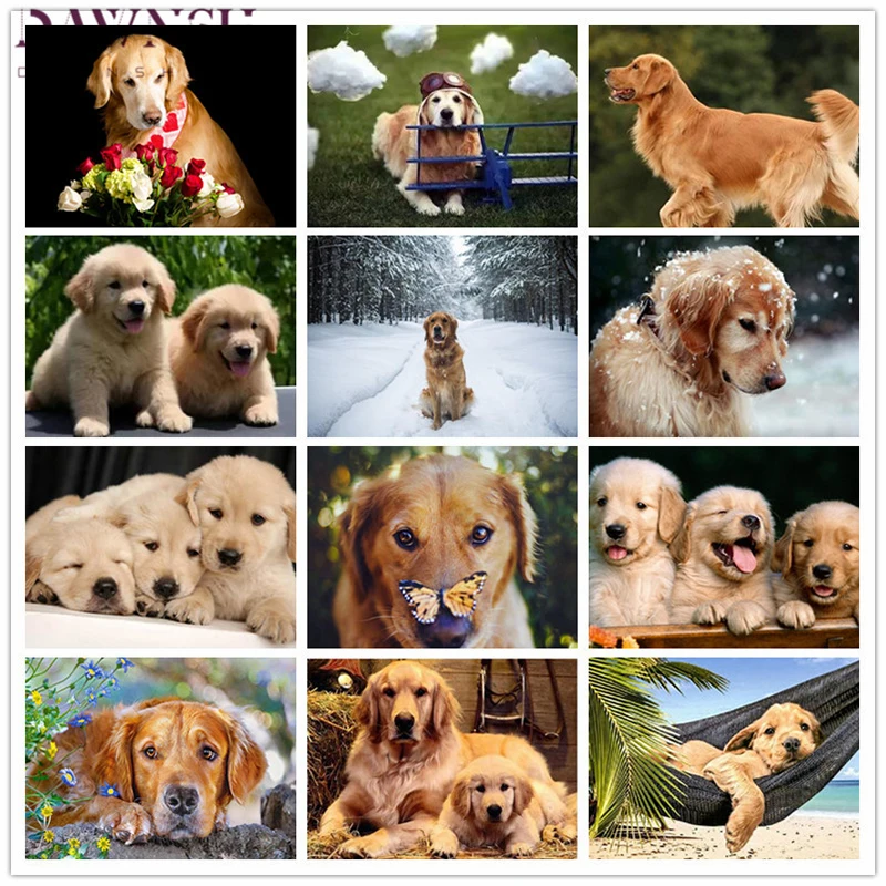 5D алмазная живопись сделай сам золотые извлекатели ручная работа вышивка