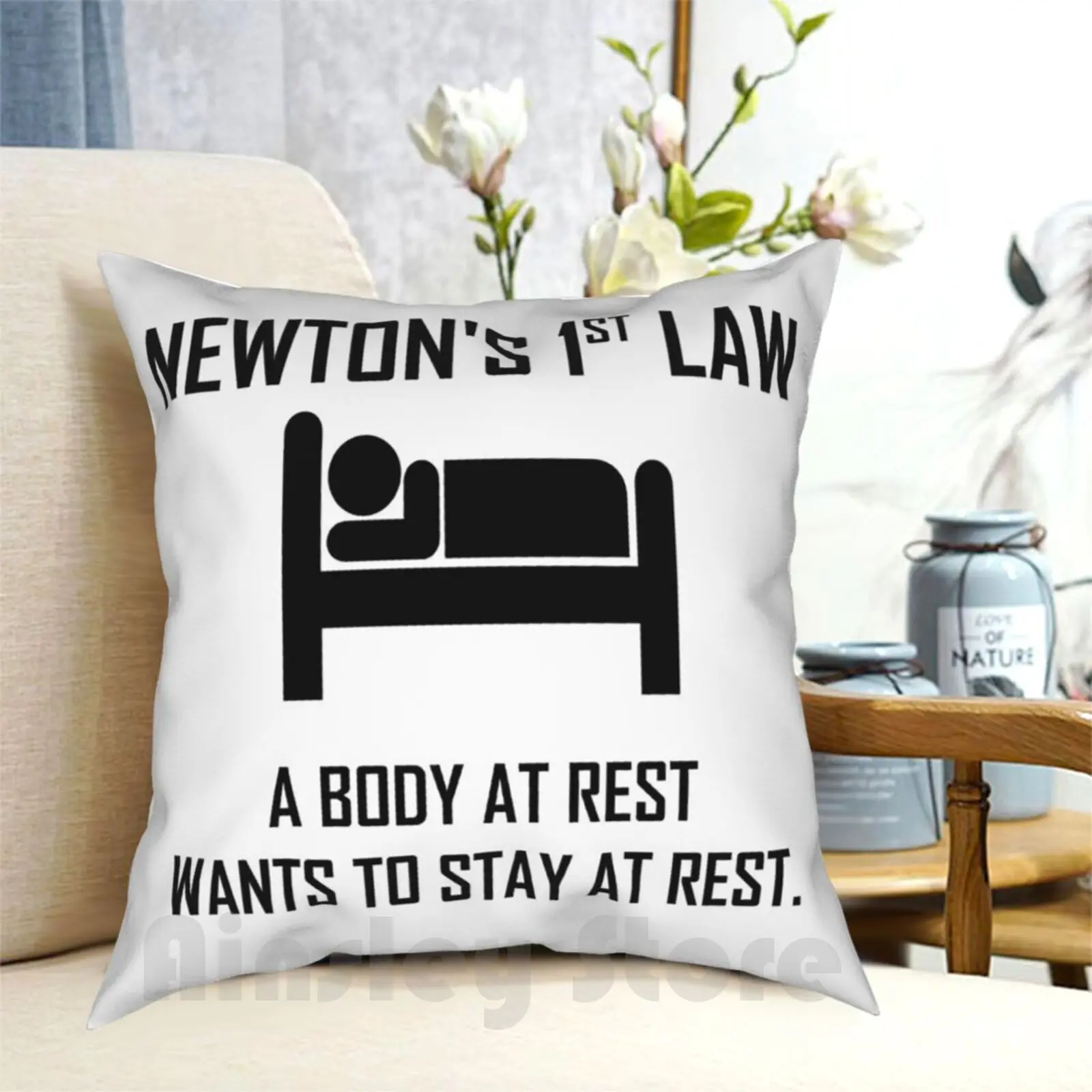 

Newton'S First Law-Funny Physics Joke Pillow Case Printed Home Soft DIY Pillow cover Physics Joke Funny Physics Joke