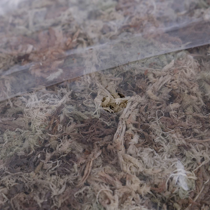 Органическое удобрение 6 л для орхидеи фаленопсис сфагнум Садовые