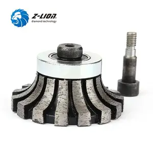 Шлифовальный круг для бетона, гранита, мрамора, грубого шлифования, IPC H20, Z-LION