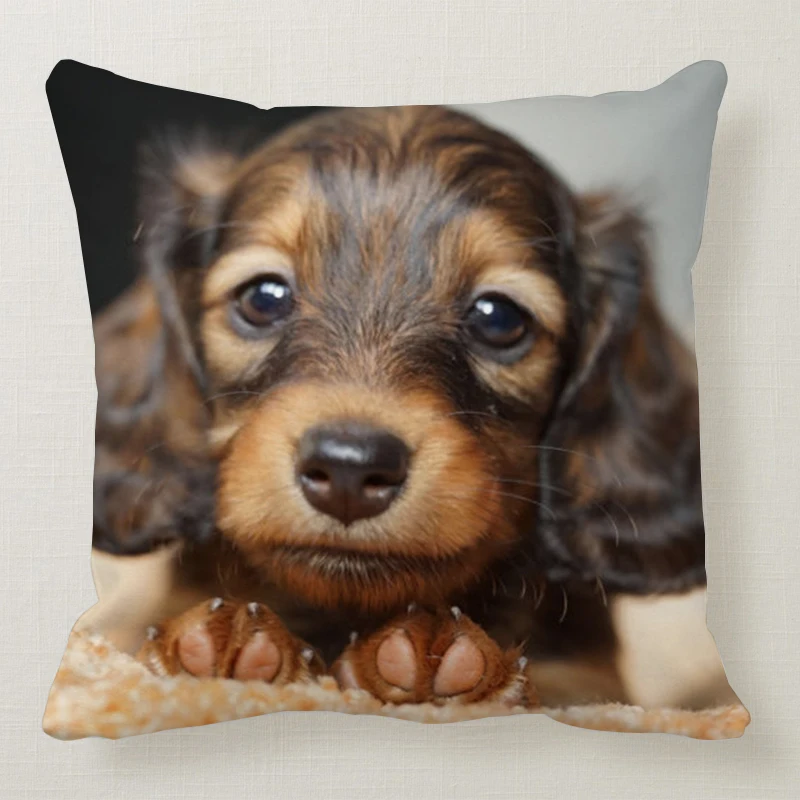 1 шт. 45*45 см милая собака подушка чехол Wirehaired подушки с таксой диван кровать автомобиль подушка чехол Спальня украшение в виде таксы Подушка бухта