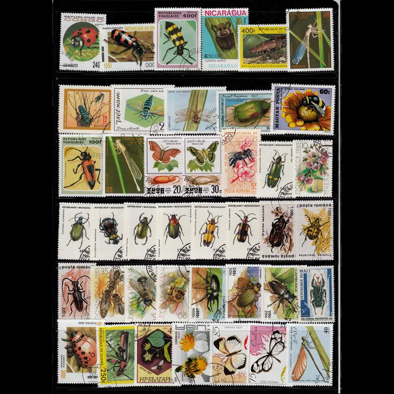 

Topic Insects,100 PCS / Lot,Different Stamps From Word,No Repeat,Used with Post Mark,Real Original,Good Condition Collection