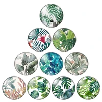 fashion beauty tropical leaf monstera leave 12mm18mm20mm25mm round photo glass cabochon demo flat back making findings zb0543