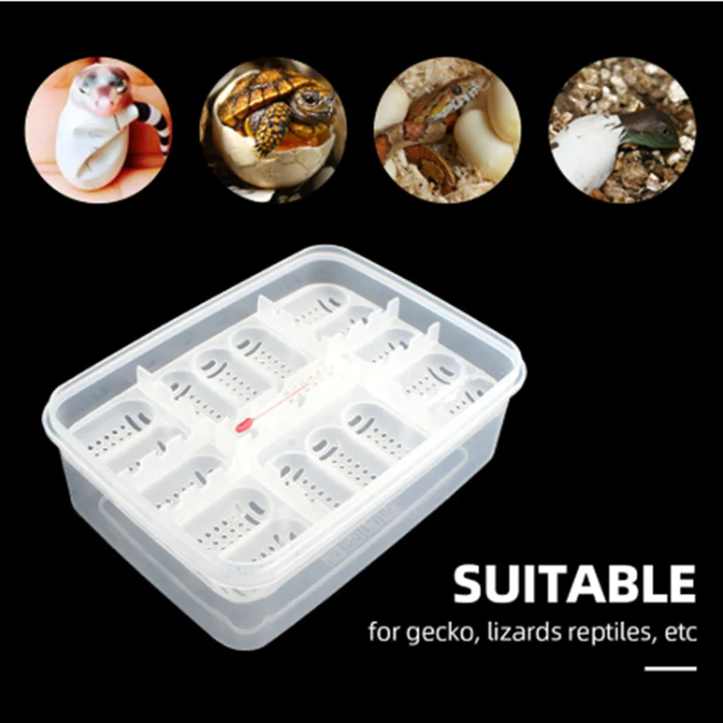 Инкубационная коробка для рептилий подходит инкубации змей ящериц с термометром